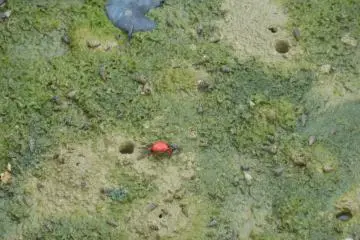 <p>At the Mangroves! Hello!</p>