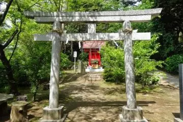 Gallery image