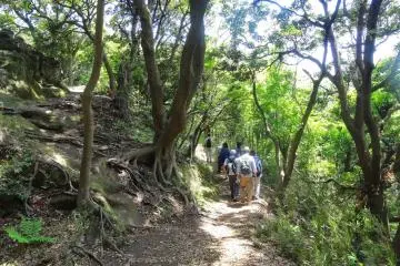 <p>เส้นทางคามาคุระ เท็น-เอ็น (Kamakura Ten-en Hiking Course)</p>
