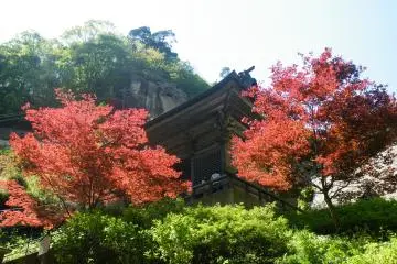 <p>Even though it was spring, these two trees were resplendent, showing off their redness. The Niomon Gate is peeking from behind the trees.</p>