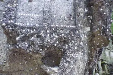 <p>Coins have been stuck to the rock face by people who were serious about their prayers.</p>