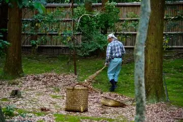 <p>He sweeps and cleans the leaves from the moss, day after day</p>