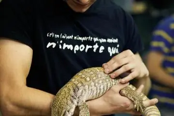 Yes, you can take this monitor lizard in your hands and it would sit there quietly without even moving.&nbsp;