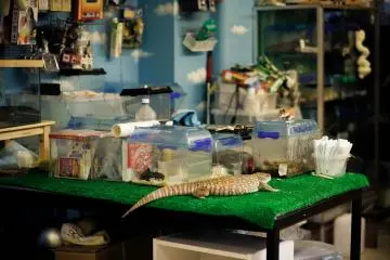 <p>If you like reptiles, you will love this place.</p>