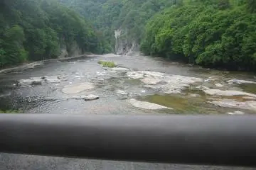 <p>La vue depuis le pont suspendu</p>