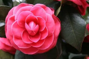 <p>ดูกันให้ชัด ๆ เลย</p>