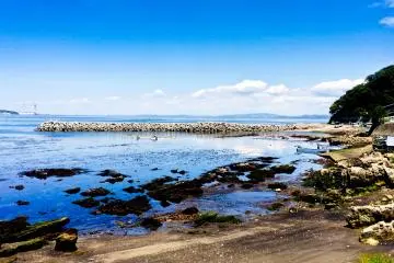 <p>Your first view from Togari Bus Stop</p>