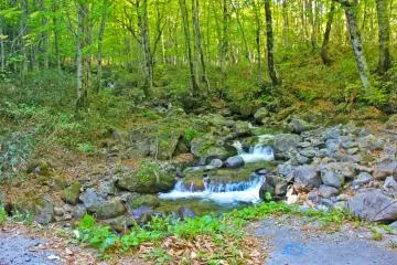 <p>One of several beautiful waterfalls near the Nyuto-Onsenkyo, (National Park Village Resort)</p>
