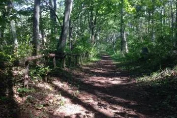 The Old Togakushi&nbsp;Road.