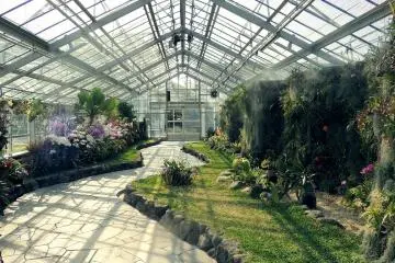 <p>A green house filled with different kind of plants.</p>