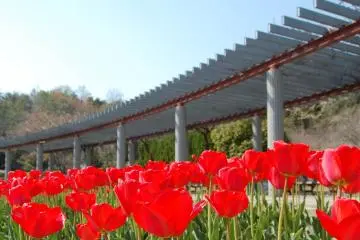 <p>A place really worth a visit!</p>