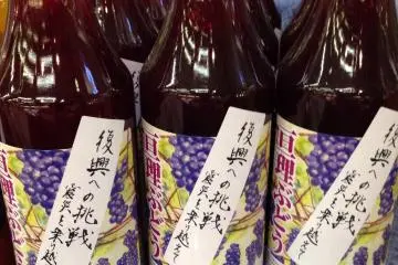 <p>Bottles of grape juice from Yamamoto Town with "Challenge to the recovery" labels</p>