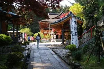 <p>Des temples entour&eacute;s d'arbres</p>
