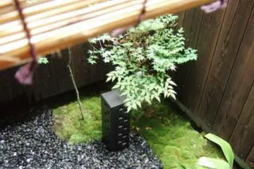 Take time and meditate on the wonder that is Kyoto.