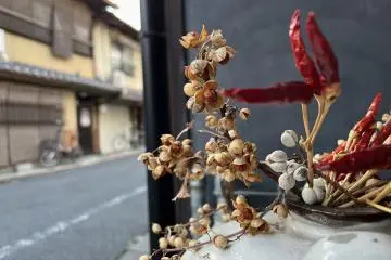 Set in a quiet neighbourhood, it is like being part of Kyoto for a few days, but good wifi and lounge makes it a good remote work or work from home option