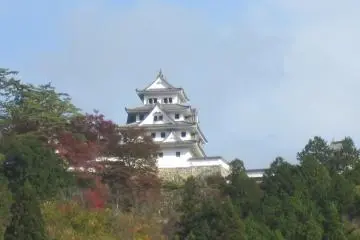 Castle from the town (Photo: Justin Dart)