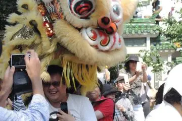 <p>Lion's bite brings good luck</p>