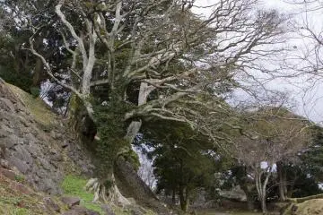 <p>Soldiers on horseback used to ride along this wall</p>