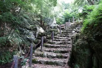 From the main gate, you can walk up to the 2nd parking lot of Daian Zenji Temple through woods