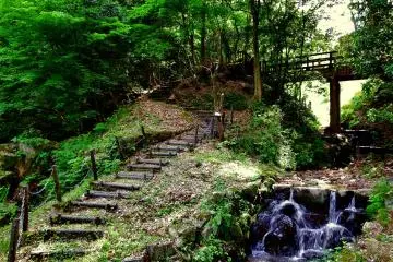 There is a small stream, a walking path and wooden bridge in the woods. How lovely!