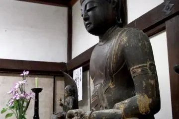 <p>Dainichi-Nyorai (Vairocana) viewed from the side. He looks so serene</p>