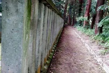 <p>Line of stone pillars and the walking path leading you further into the woods</p>