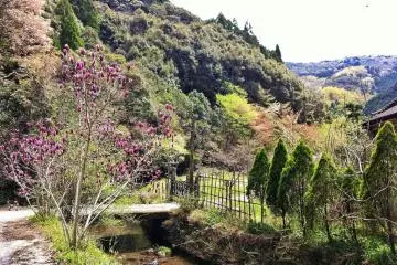 Getting Lost at Wakamiya Onsen