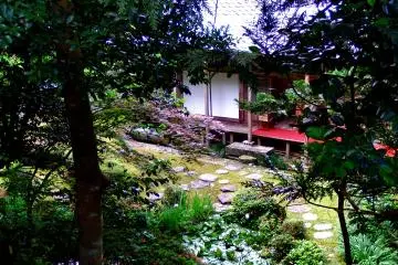 <p>Peeping into the pretty garden of Daian-zenji Temple</p>