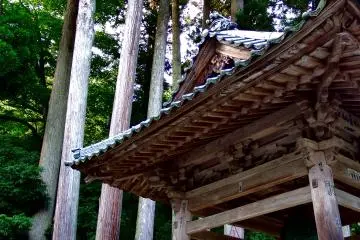 <p>Belfry and tall cedar trees on the temple grounds. To our disappointment, we are not permitted to strike the bell</p>