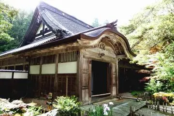 Gallery image
