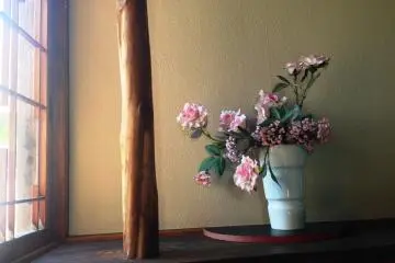 <p>A beautiful moment in contemplation.</p>