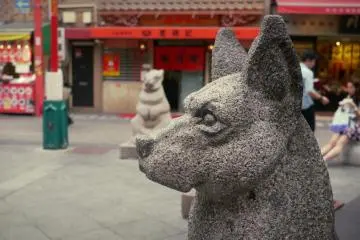 <p>A dog statue in the main street.</p>