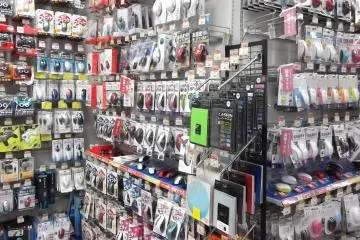 <p>More mice than you can shake a stick at</p>