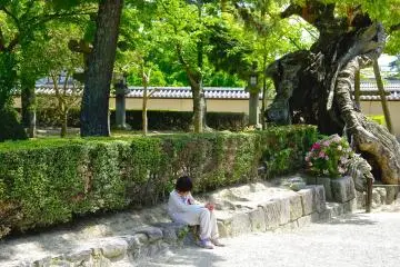 <p>Woman sitting on the stone in the same style as an old tree</p>