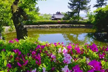 <p>Benten-ike Pond in front of Sai-in Precinct and brilliantly colored azaleas</p>