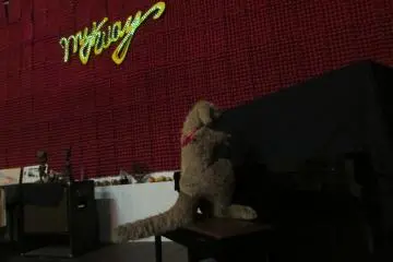 <p>To top off the surrealism, an unnamed animal playing a closed piano.</p>