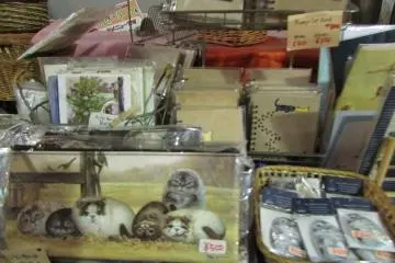 <p>Cat merchandise stockist</p>