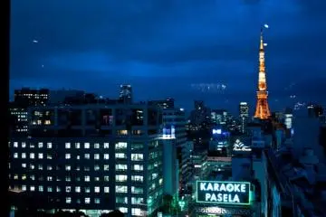 Tokyo Tower is almost close enough to grab