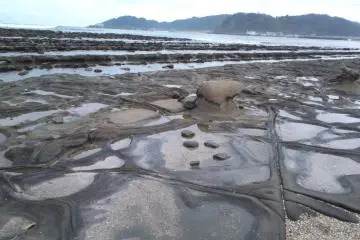 Aoshima rock formations (devil's washboard) (Photo: Paul Kawano Arenson)