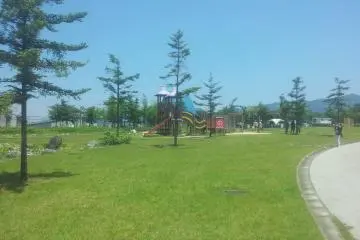 <p>The bigger slides, swings and climbing frames</p>