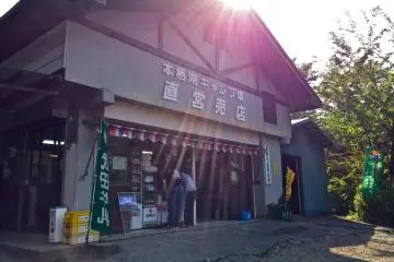 Gallery image
