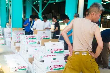 <p>Men line up to buy cases of fruit and vegetables</p>