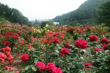 <p>From this spot I stood admiring the scene in front of me.</p>