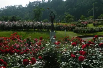 <p>This sculpture is symbolic of the park. In the midst of some roses, the statue holds a rose.</p>