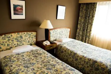 <p>Twin room</p>