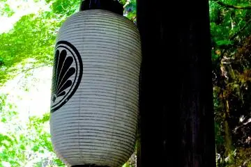 <p>Paper lantern</p>