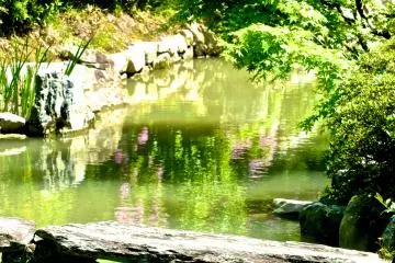 <p>But once I stepped into the garden, I knew I was in safe hands</p>
