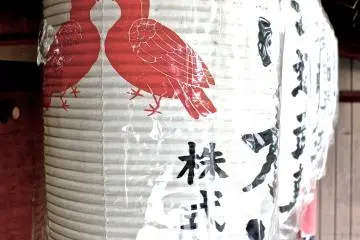 Doves - A symbol of love and peace