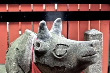 <p>Notice the repaired ears</p>