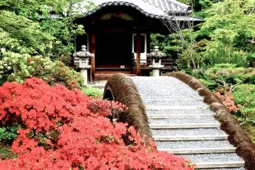 <p>From a different angle, and equally beautiful</p>